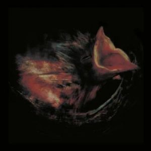 Gurriers - Nobody�s Coming To Save You