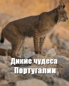 Nat Geo Wild: ����� ������ ����������