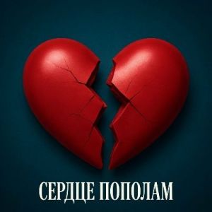 ���� ������ - ������ �������