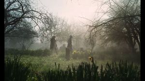 ������ ����� ����