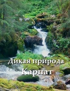 Nat Geo Wild: ����� ������� ������