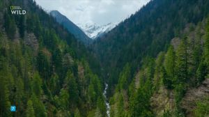 Nat Geo Wild: ����� ������� ������