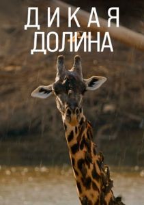 ����� ������