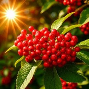 Zalegov - ���������