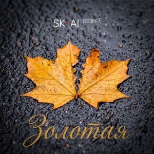 SK-AI project - �������