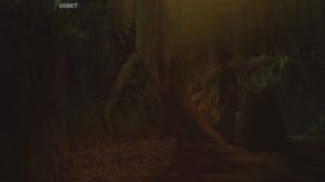 �������-���������