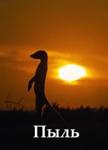 Nat Geo Wild: ����