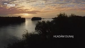 Viasat Nature: ��������� �������� / �������� � �����