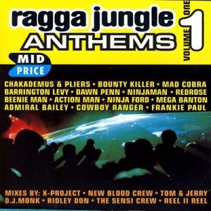 VA - Ragga Jungle Anthems Vol. 1