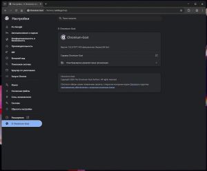 Chromium-Gost 152.0.7977.149 ������ autosettings.win [Multi/Ru]