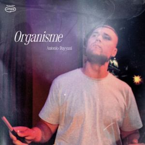 Antonio Dayyani - Organisme