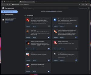 Chromium-Gost 152.0.7977.149 Portable ARM64 ������ autosettings.win [Multi/Ru]