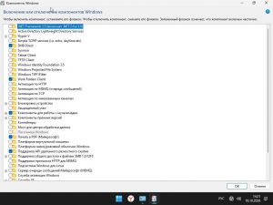 Windows 11 26H2 Mini Lite (26300.9711) by Bruxer [Ru]