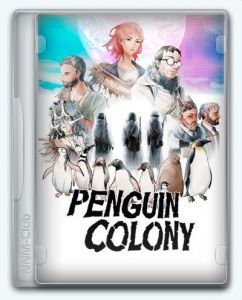 Penguin Colony