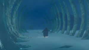 Penguin Colony