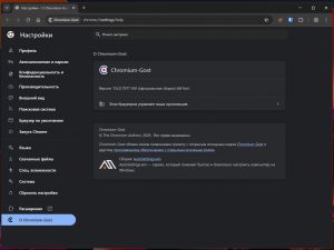 Chromium-Gost 152.0.7977.169 ������ autosettings.win [Multi/Ru]